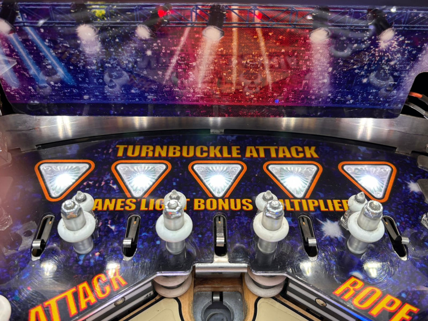 WrestleManis Pro Stern Pinball Machine (2015)